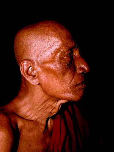 Wo hat er nur seine Federn gelassen?