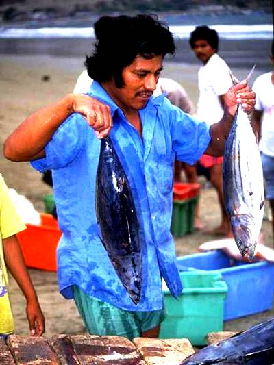 Du L&uuml;gner - jetzt ist die arme S.Gully krnak.