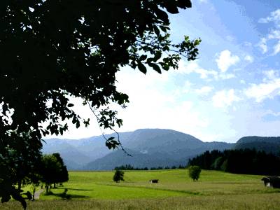 Das ist gar nicht von Rilke!